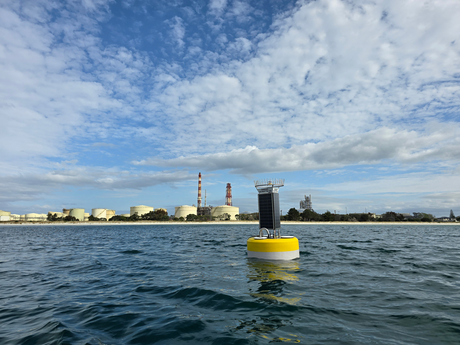 Buoys listening for marine mammals in Whangārei Harbor. 
