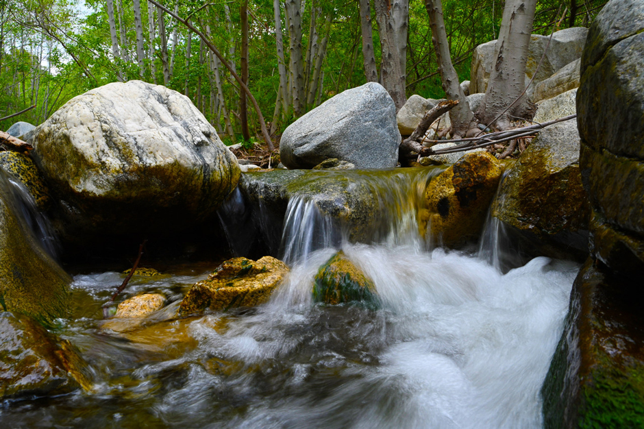Close up image of the Arroyo Seco stream in the San Gabriel Mountains of Pasadena. 