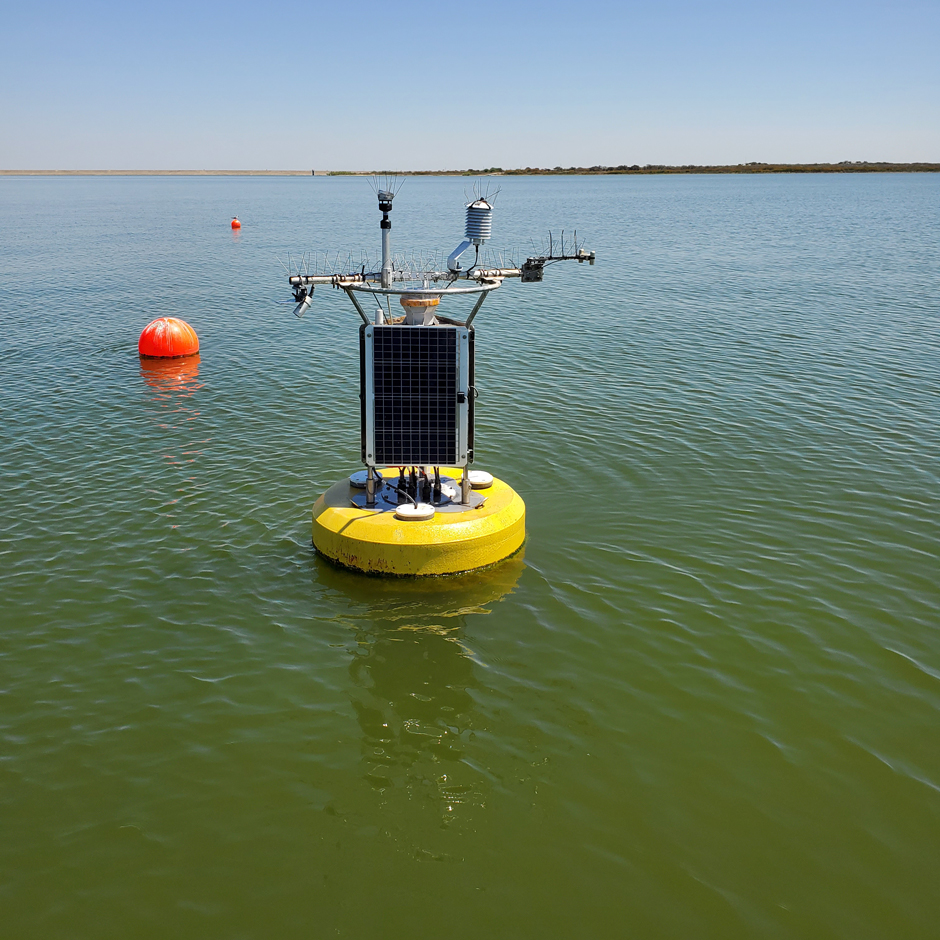 Buoy on Choke Canyon Reservoir. (Credit: A. Burke, TWDB)