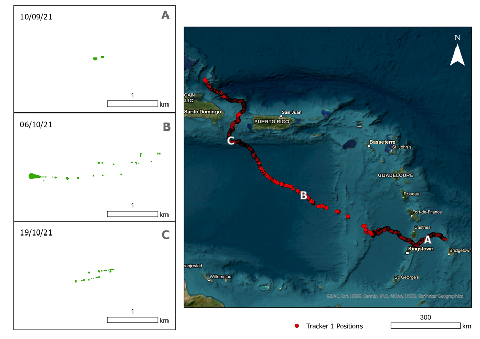 Tracking mats using satellite imagery. Panels on the left (A-C) show the pixels identified as sargassum in satellite imagery and the change in morphology as it travels. The position of the sargassum mat is indicated in the map on the right. 