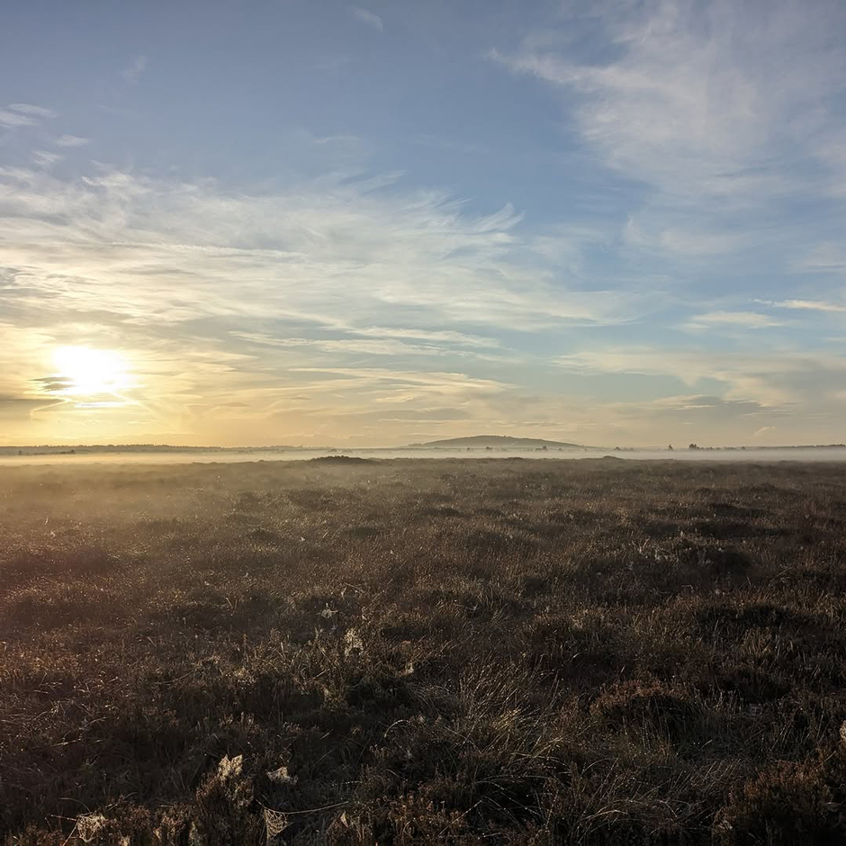 A misty morning at one of the IPCC’s six bog sites.