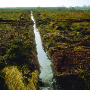 A drain running through a bog. Loss of water shrinks the peat and contributes to drying, which increases carbon emissions. As the bog dries, non-peat-building flora proliferate.