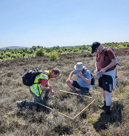Volunteers use a quadrant at one of the IPCC’s bogs. The IPCC contributes to a range of ecological surveys that help build a better picture of ecosystem and species health in peatlands. 