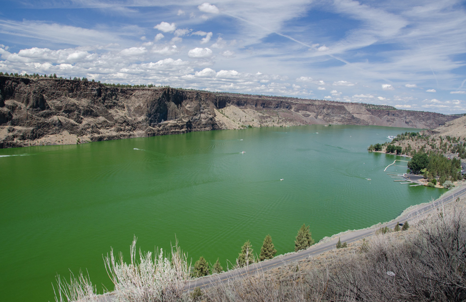 Algae blooms in Lake Billy Chinook in a popular swimming area.