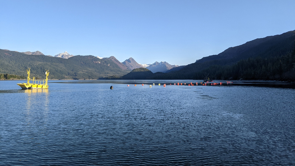 A sunny day on MarRecon partner farm, Simpson Bay Oyster Co. This farm is located on a protected bay in Prince William Sound near Cordova, Alaska.