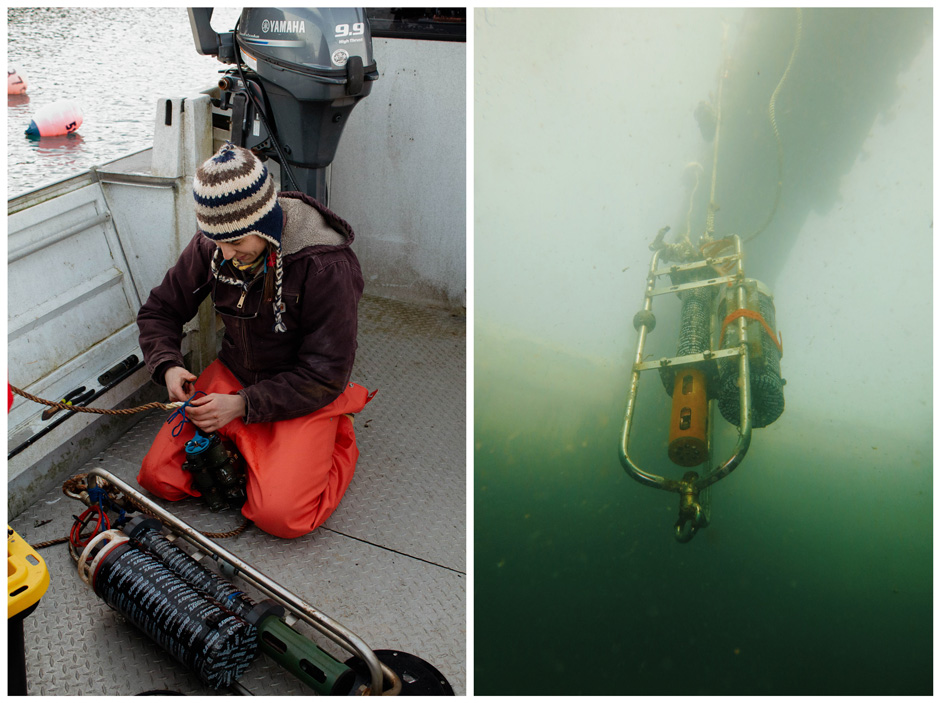 Two images side by side. Left is Researcher, Sierra Greene, servicing the mooring located on the Native Village of Eyak research kelp farm in Prince William Sound. Right is _____