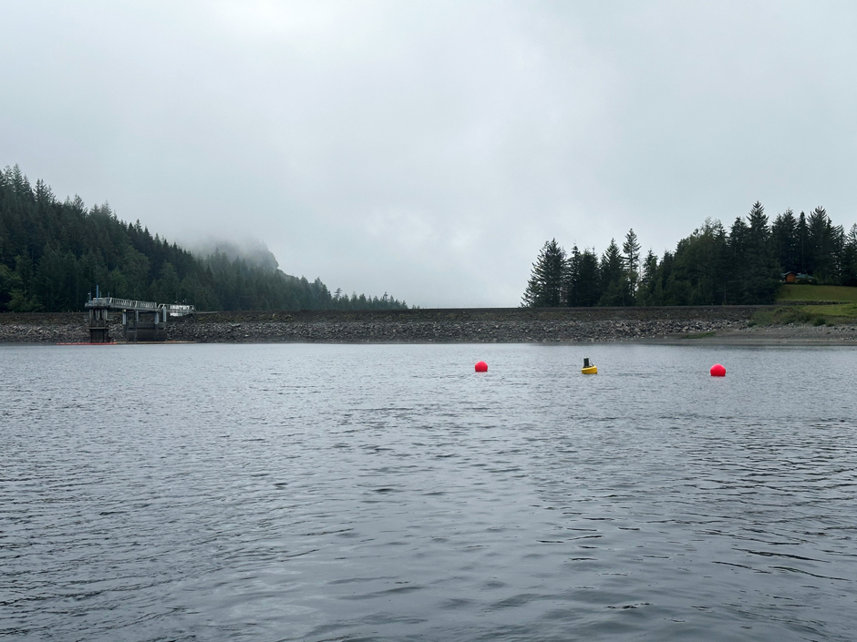 Data buoy in the South Fork Tolt Reservoir.