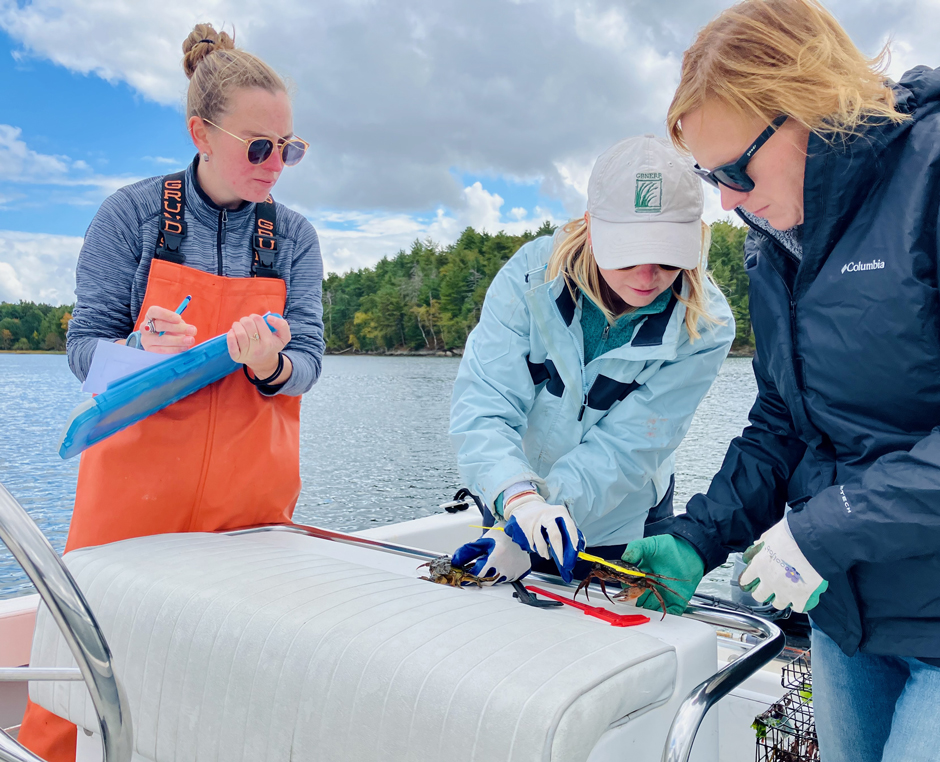 Crab monitoring on Great Bay.