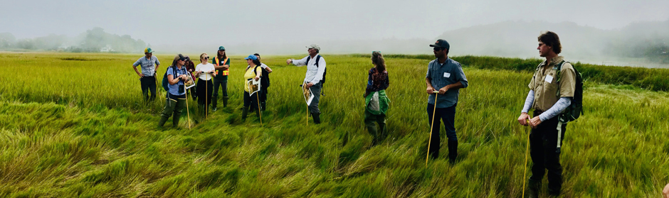 Salt marsh restoration planning. Site walk to help with the restoration design of an impaired marsh from historic farming practices and increased sea levels.