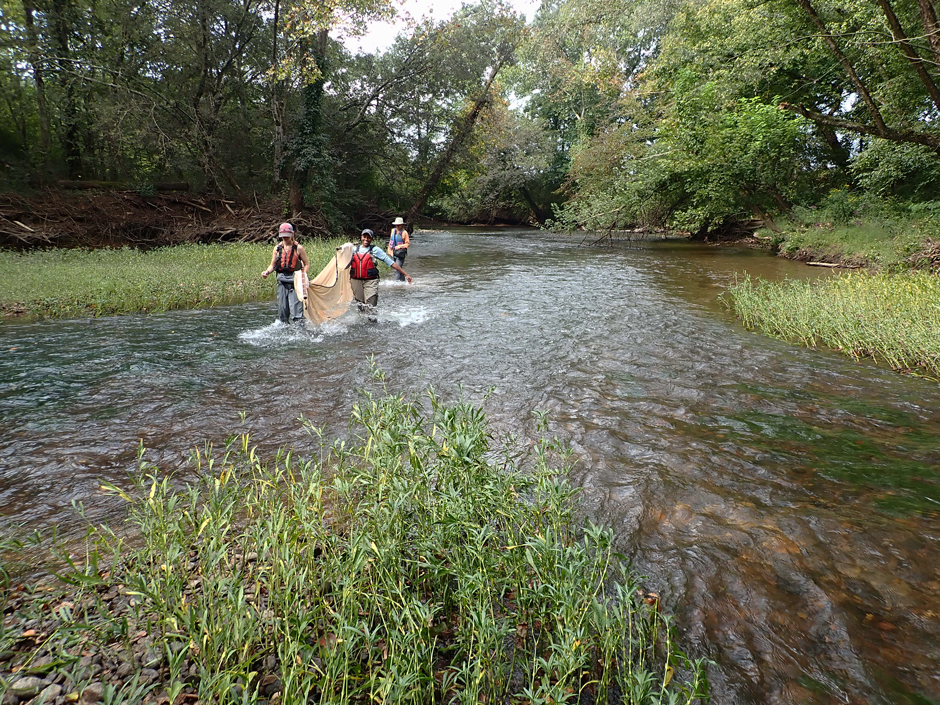 Members of the River Basin Center surveying rare fish in the Conasauga River, Georgia.