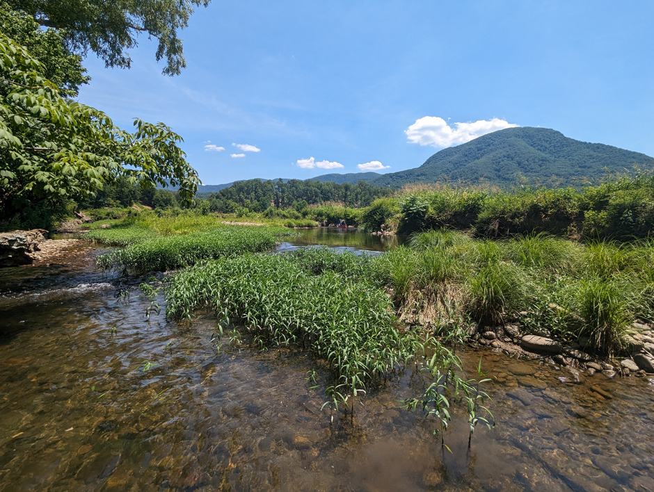 Holly Creek, in northwest Georgia, is monitored for tracking fish responses to restoration and management actions.