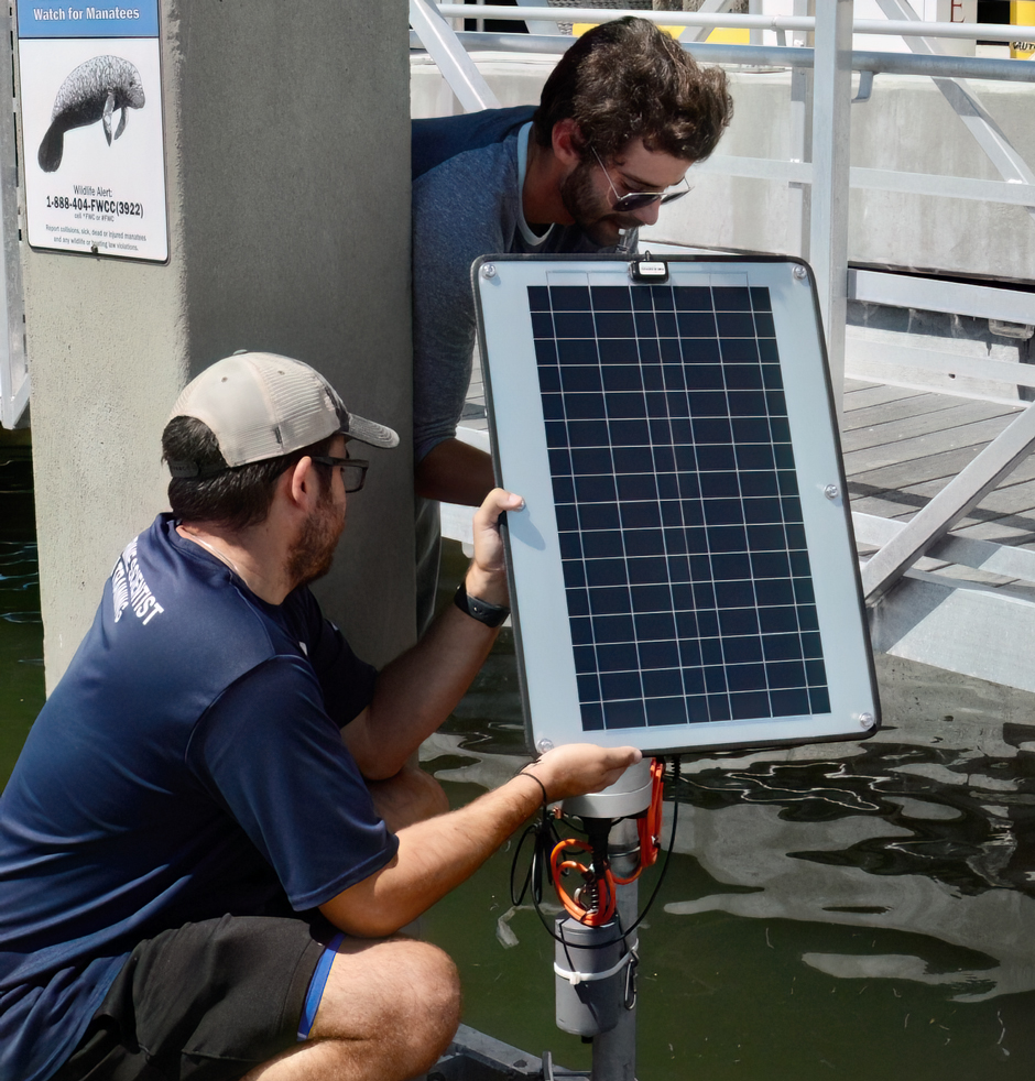 Two FGCU employees deploying a dock-mounted monitoring station. 