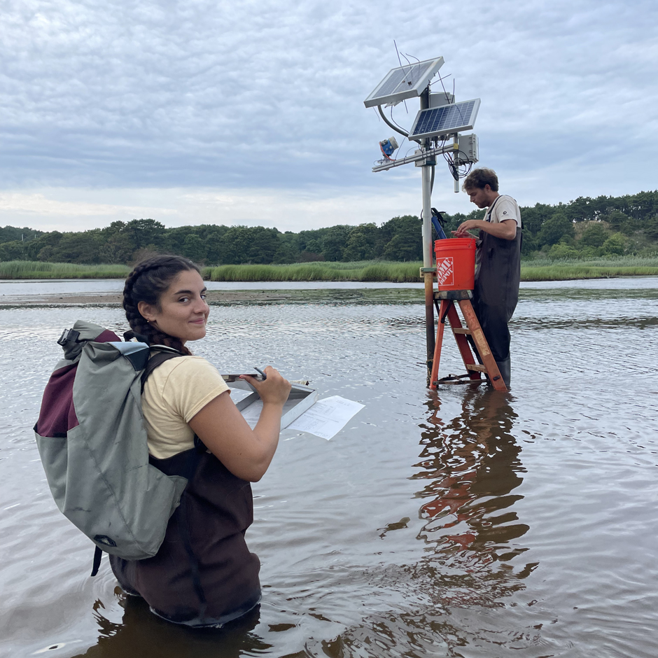 The sondes at the Chequessett Neck Road dike get their routine maintenance.
