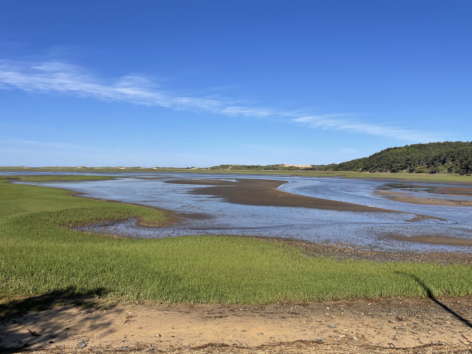 The Herring River downstream of the Chequessett Neck Road dike.