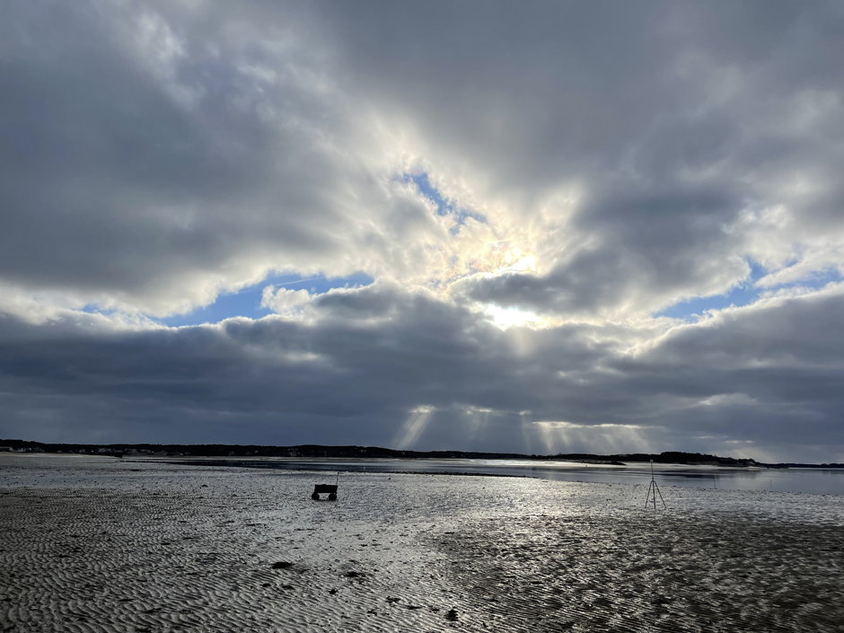 Grants Oyster Flats at Wellfleet Town. The restoration of natural tidal exchange and the possible impact this may have on oyster farming is one of the reasons data collected by Francesco and his team is so important.
