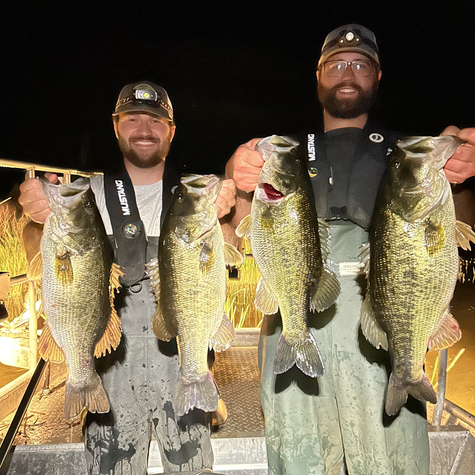 AGFC biologists display several large Florida Bass sampled by boat electrofishing.
