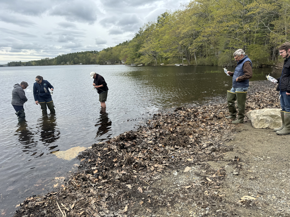 Maine Department of Environmental Protection's Healthy Beaches Program staff train and certify Coastal Rivers' volunteers to take samples for bacterial analysis at swim beaches throughout the summer.
