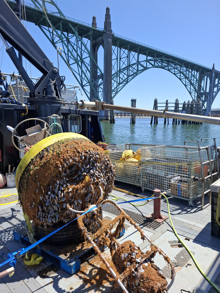 The nutrient-rich waters host abundant wildlife, but also mean buoys suffer intense biofouling.