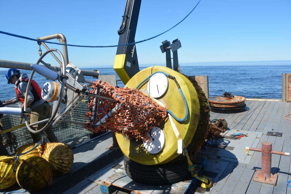 At 48” wide, the NexSens CB-1250s are relatively compact for ocean-going buoys. Their size means deployment is feasible within the constraints of semi-rural Oregon’s coastal infrastructure the available vessels.