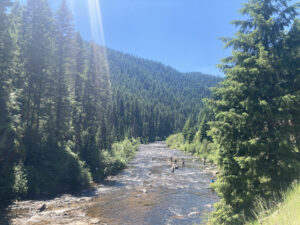 Idaho DEQ and USFS employees working together on late summer sediment monitoring in the main channel of the South Fork Clearwater River.