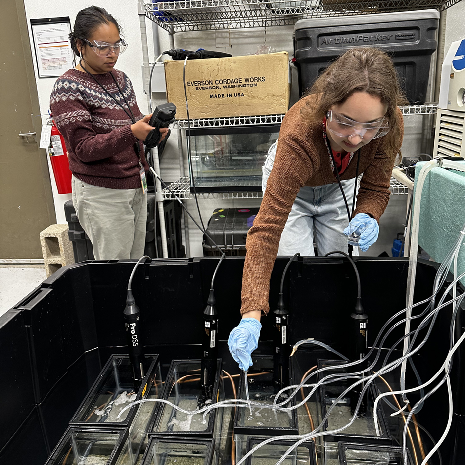 SULI Summer 2025 interns, Quetzali Morales Lumagui (left) and Carina Tostado (right), conducting OAE lab experiments.