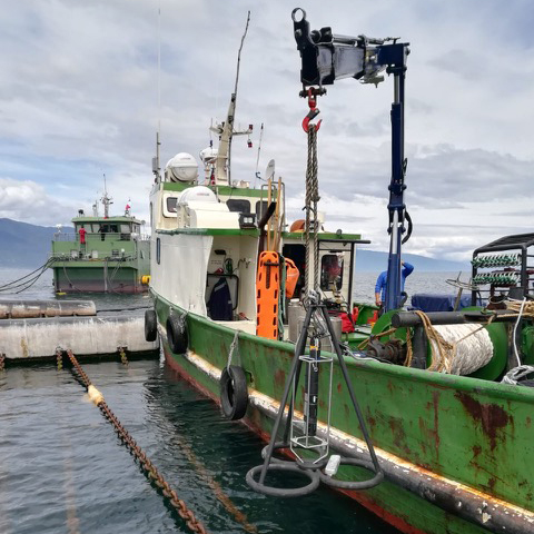 Puerto Montt is a major transport and trading hub in southern Chile. The NexSens X2 data logger is deployed from a pier and supports real-time monitoring of coastal waters.