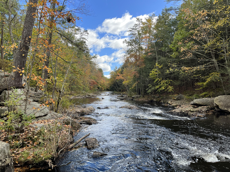 The Lamprey River at river kilometer 27, which is the most downstream site of the QuEST project.