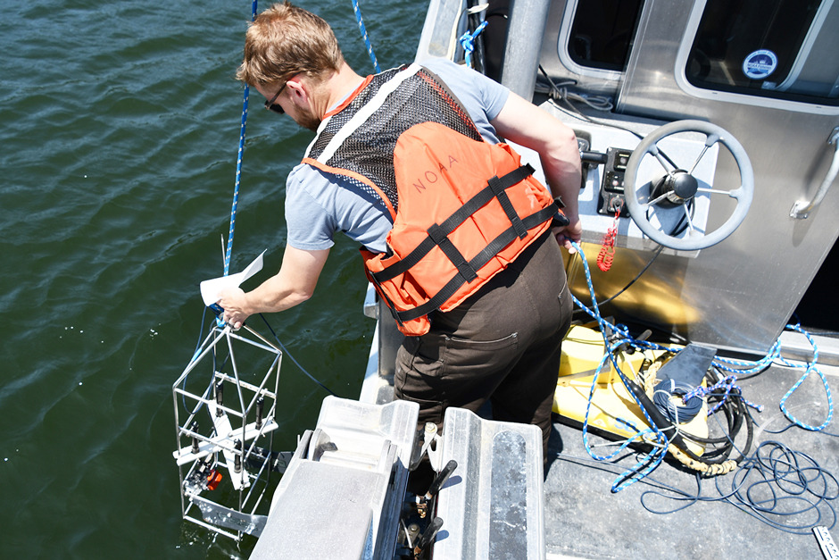 An employee of the NOAA Chesapeake Bay Office monitors a tributary pre-restoration.