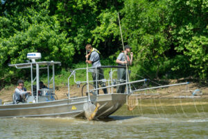 Inland Fisheries Research Unit staff sampling Blue and Flathead Catfish populations on the Ohio River using low-frequency electrofishing.