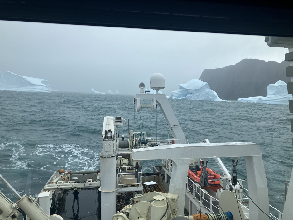 Icebergs choking the exit of Scoresby Sound.