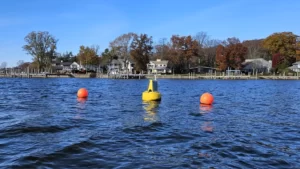 The buoy in the water, against a sunny autumn backdrop.