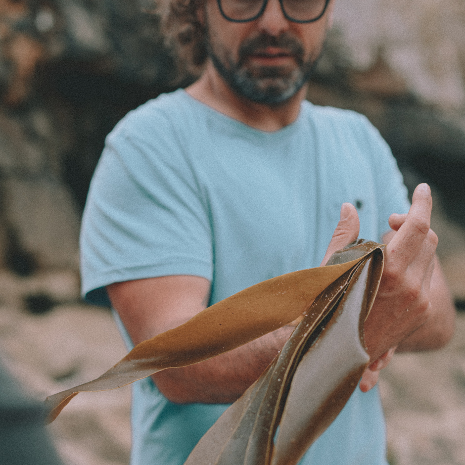 Hope Zones’ Lead Scientist and Seaweed Specialist João Franco.