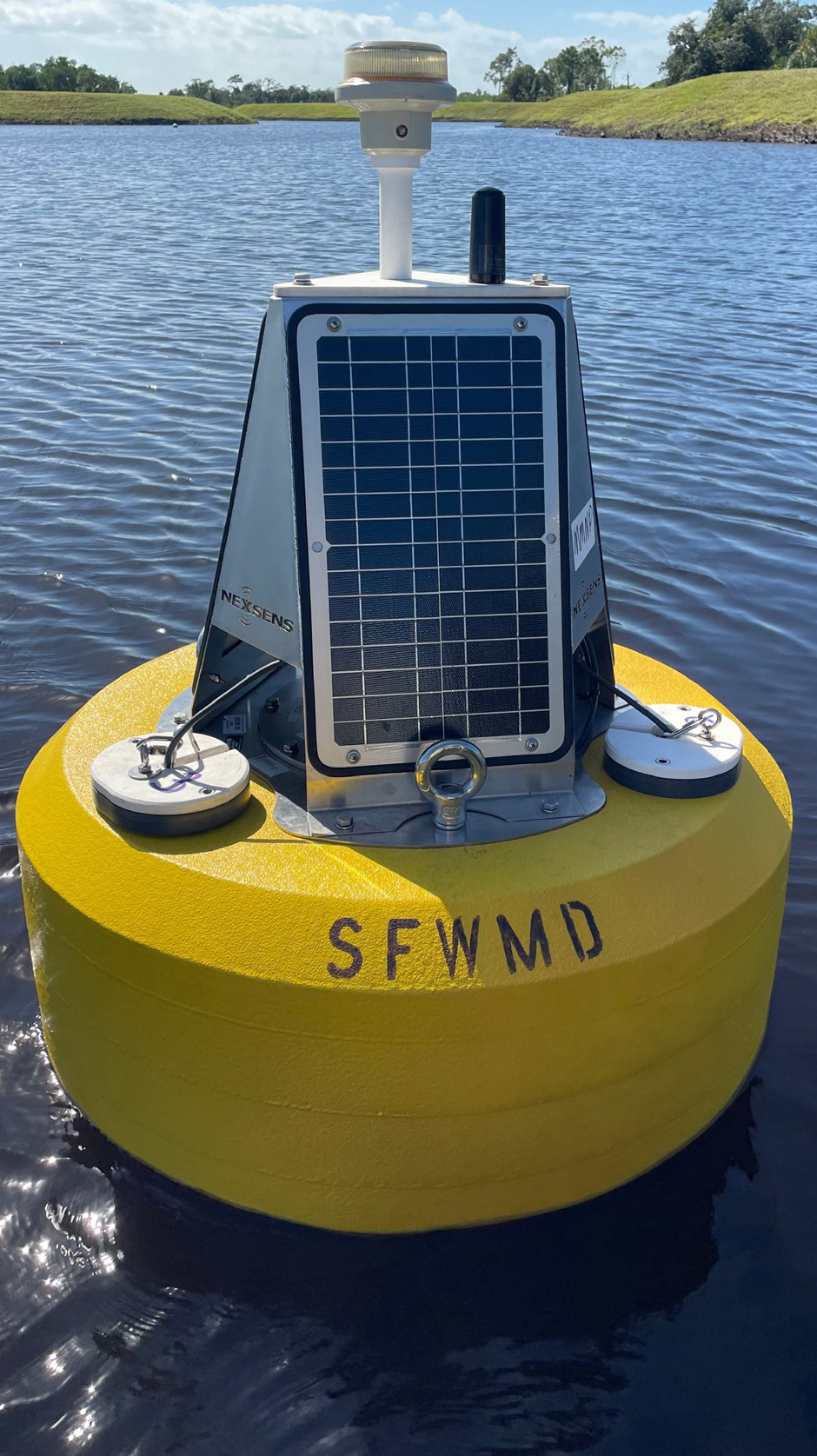 Data from the buoys supports rehabilitation efforts and contributes to a more complete understanding of ecological health and change.