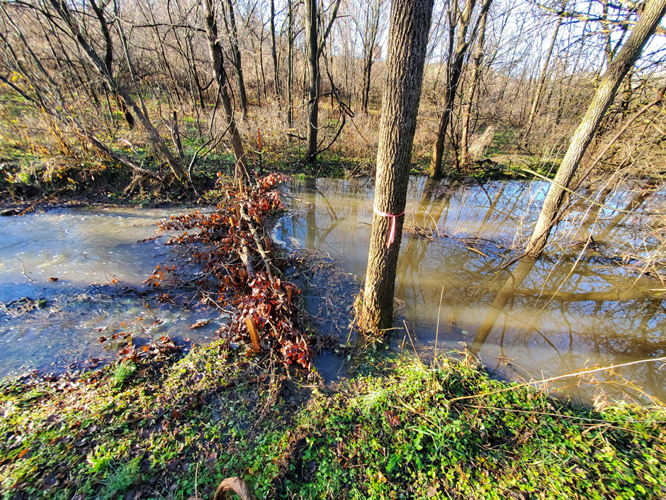 After the first storm, post-install dams were slowing the flow and trapping organic matter. 