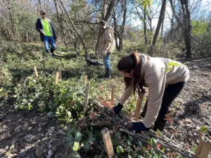 Some dams were built wider and lower, depending on channel morphology.