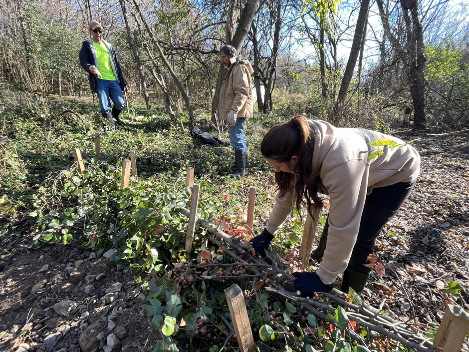Some dams were built wider and lower, depending on channel morphology.