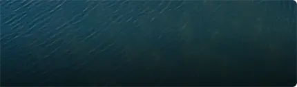 WATER QUALITY